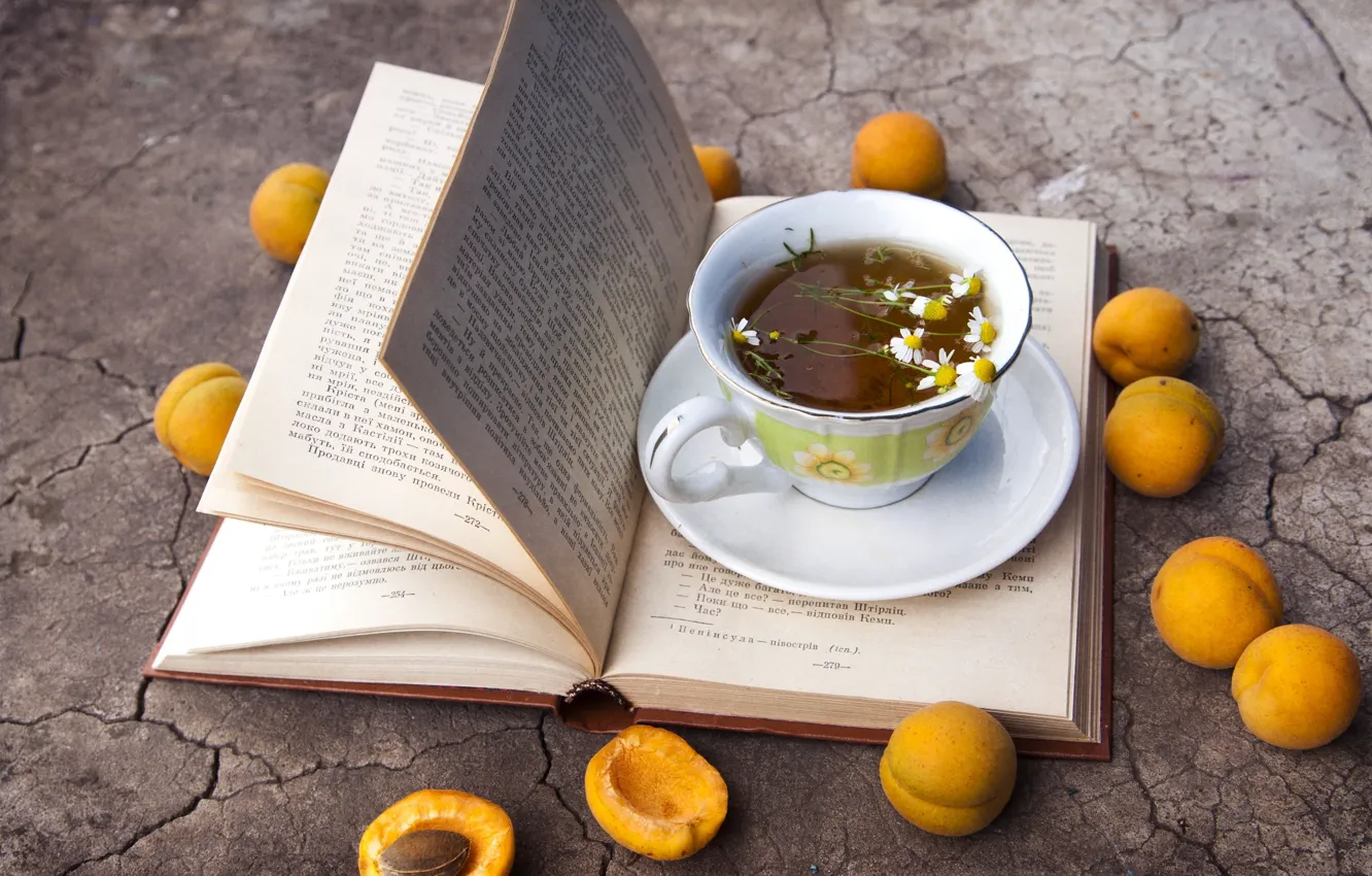 Фото обои чай, ромашки, книга, абрикосы