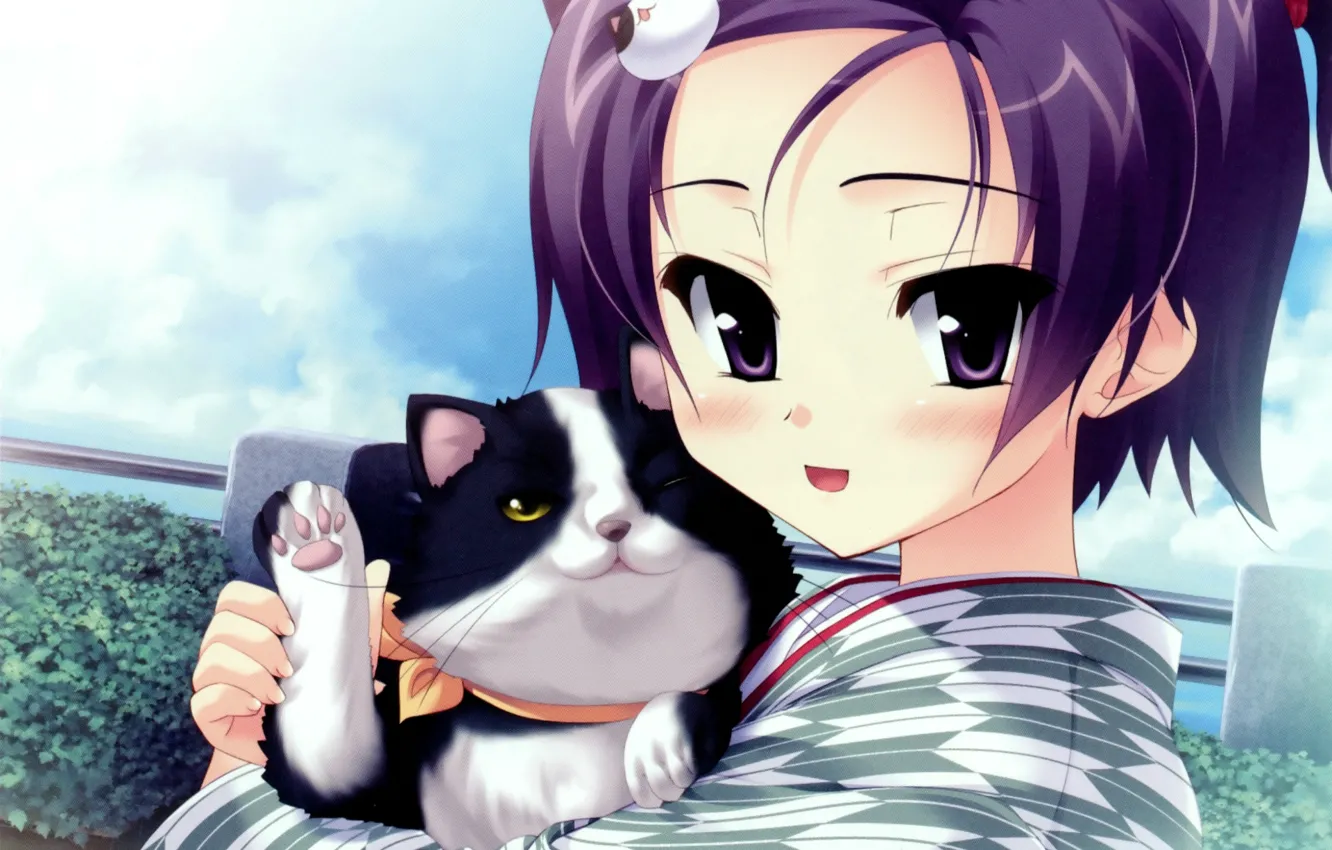 Фото обои кот, лапа, юката, art, visual novel, arumi tsurugasima, hideyu tougarashi