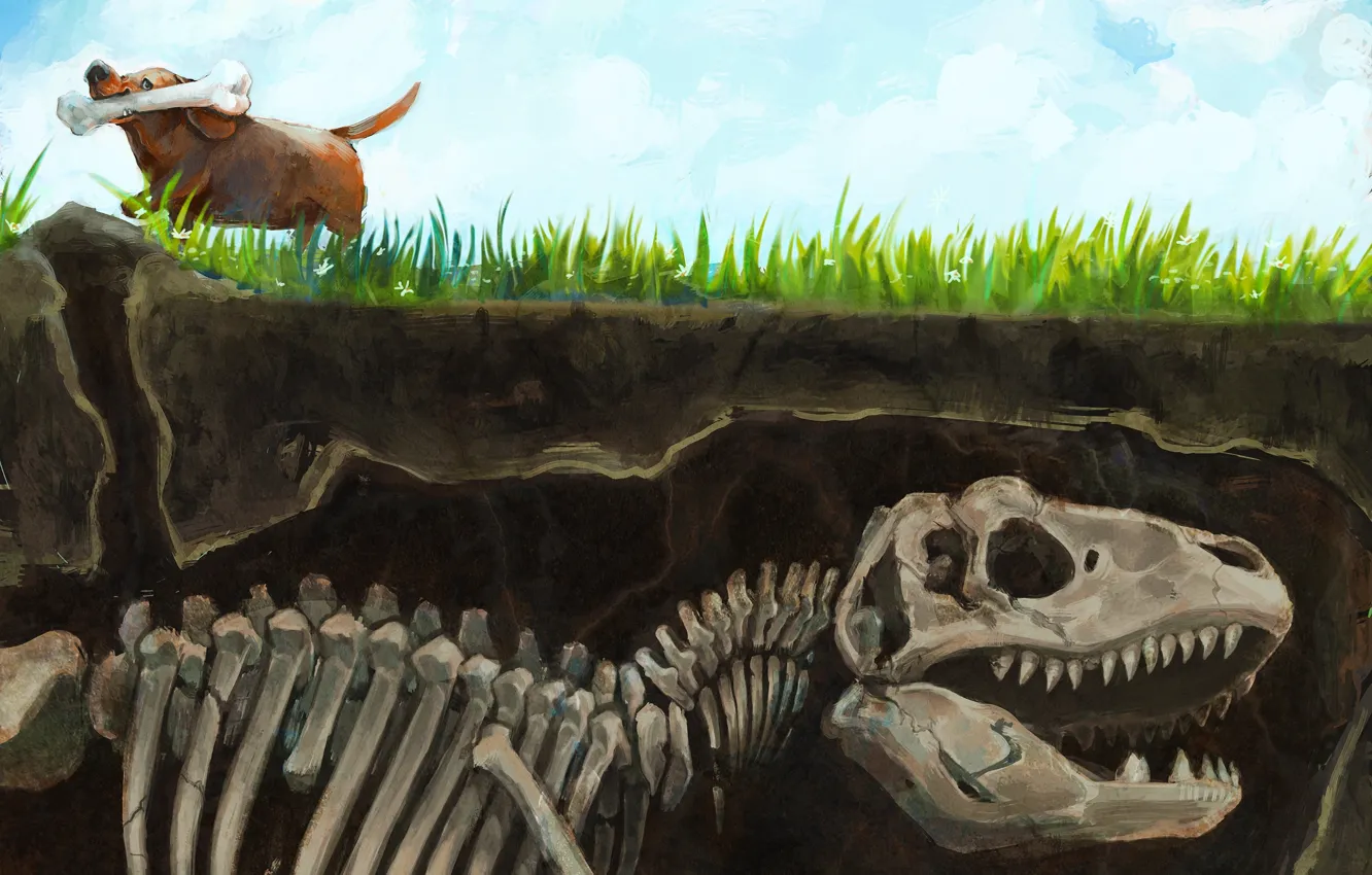 Фото обои трава, земля, динозавр, собака, арт, скелет, кость
