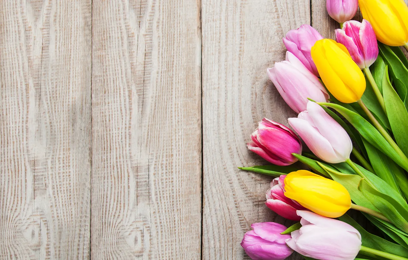 Фото обои colorful, тюльпаны, розовые, yellow, wood, pink, flowers, tulips