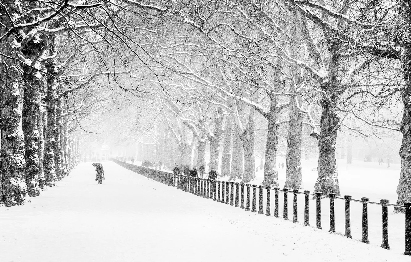 Фото обои зима, дорога, снег, деревья, город, парк, люди, Лондон