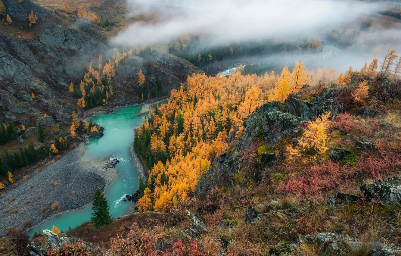 Фото обои river, autumn, fog, cold, thaw