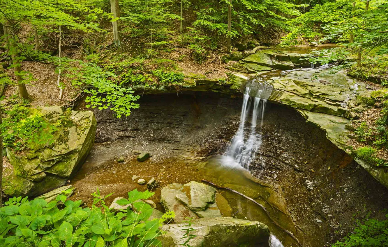 Фото обои лес, деревья, камни, скалы, водопад, поток, США, Огайо