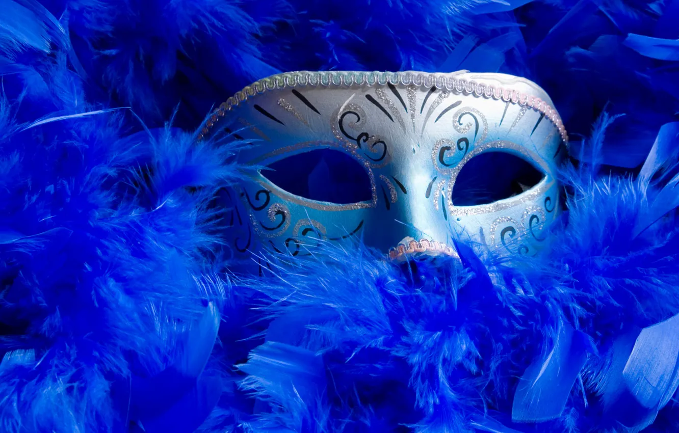 Фото обои синий, серый, перья, маска, Венеция, Разное, маскарад