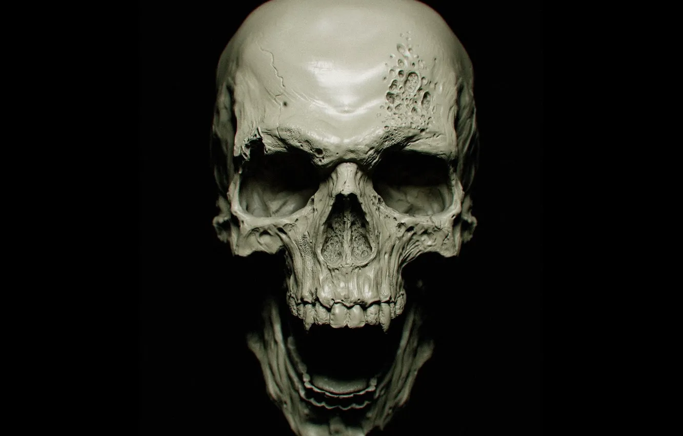 Фото обои skull, vampire, bones, teeth