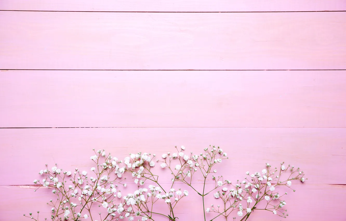 Фото обои цветы, фон, розовый, белые, pink, flowers, background, wooden