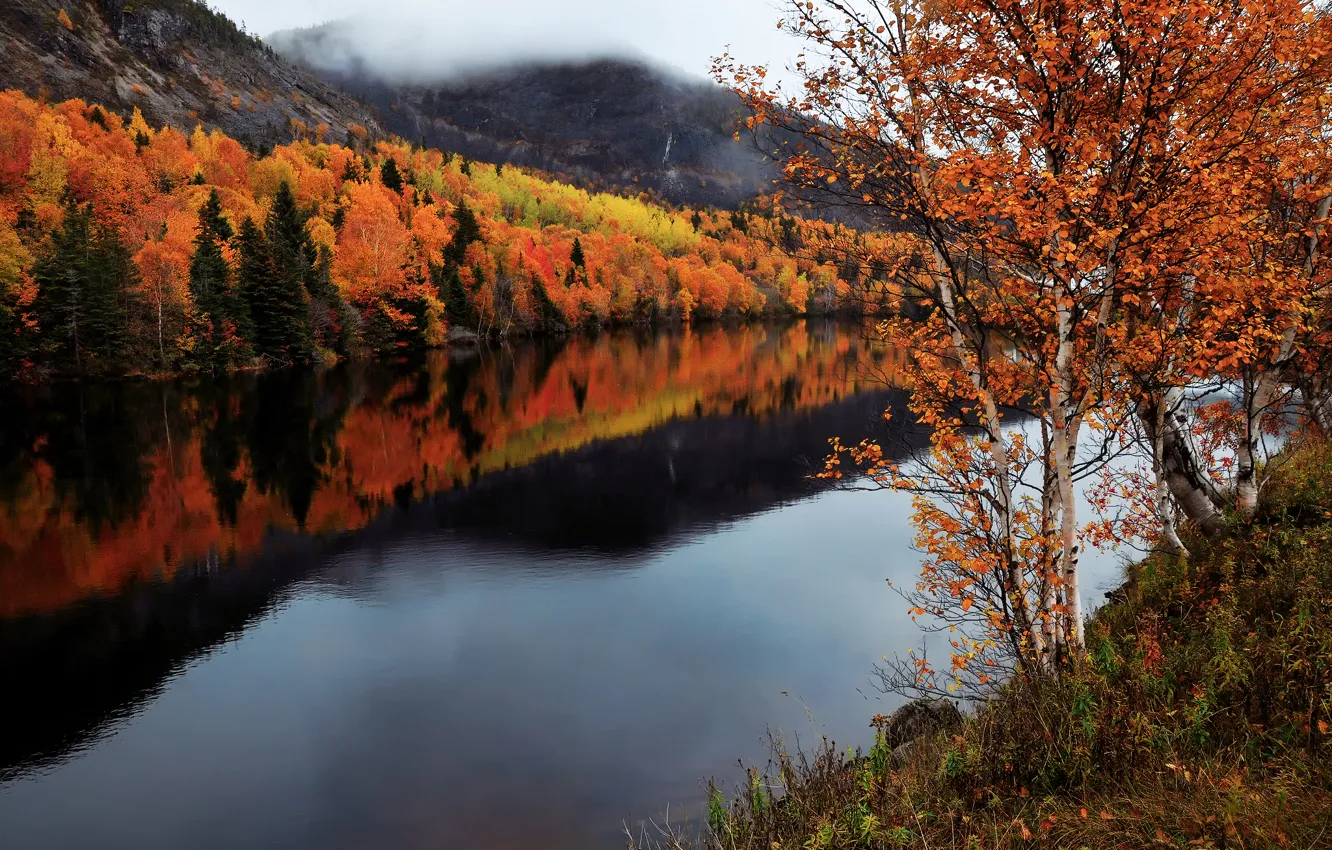 Фото обои осень, река, Канада, Humber River, провинция Ньюфаундленд и Лабрадор