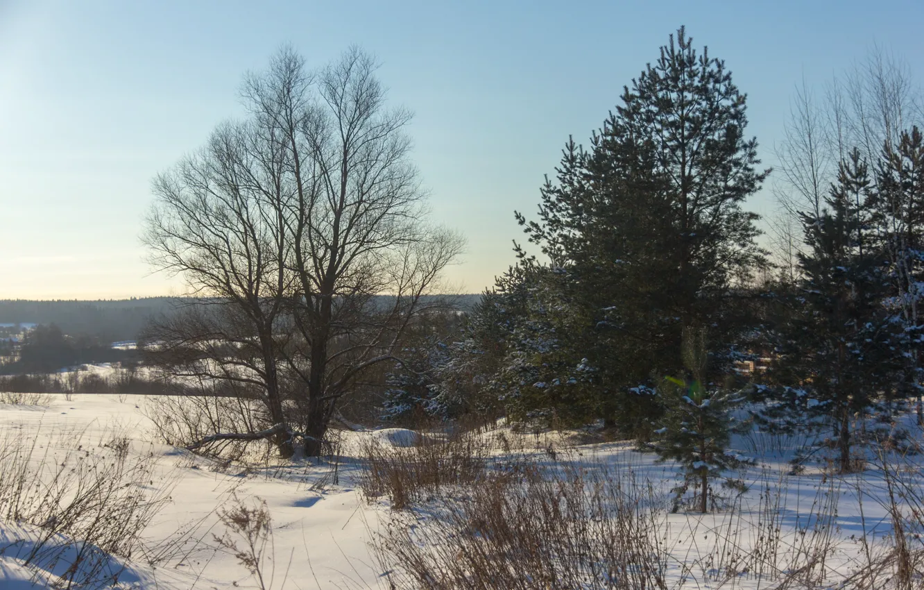 Фото обои зима, снег, деревья, закат, природа, мороз, россия, солнечно