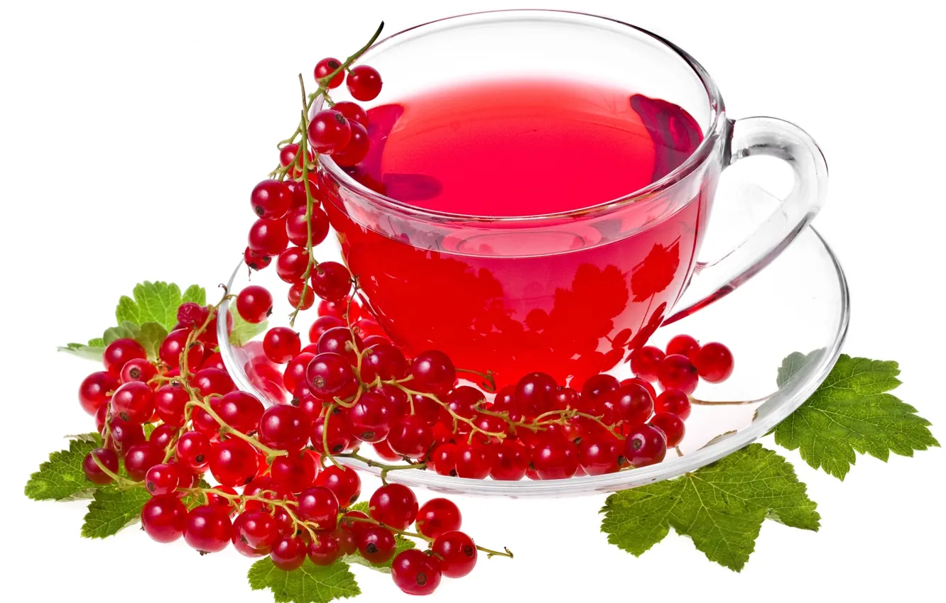 Фото обои чай, белый фон, красная, смородина, tea, currant