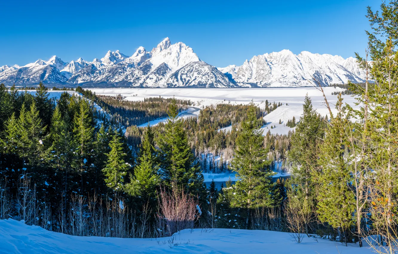 Фото обои пейзаж, горы, США, Grand Teton National
