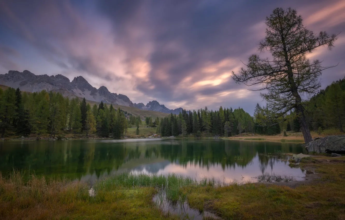 Фото обои осень, лес, небо, трава, облака, горы, тучи, озеро