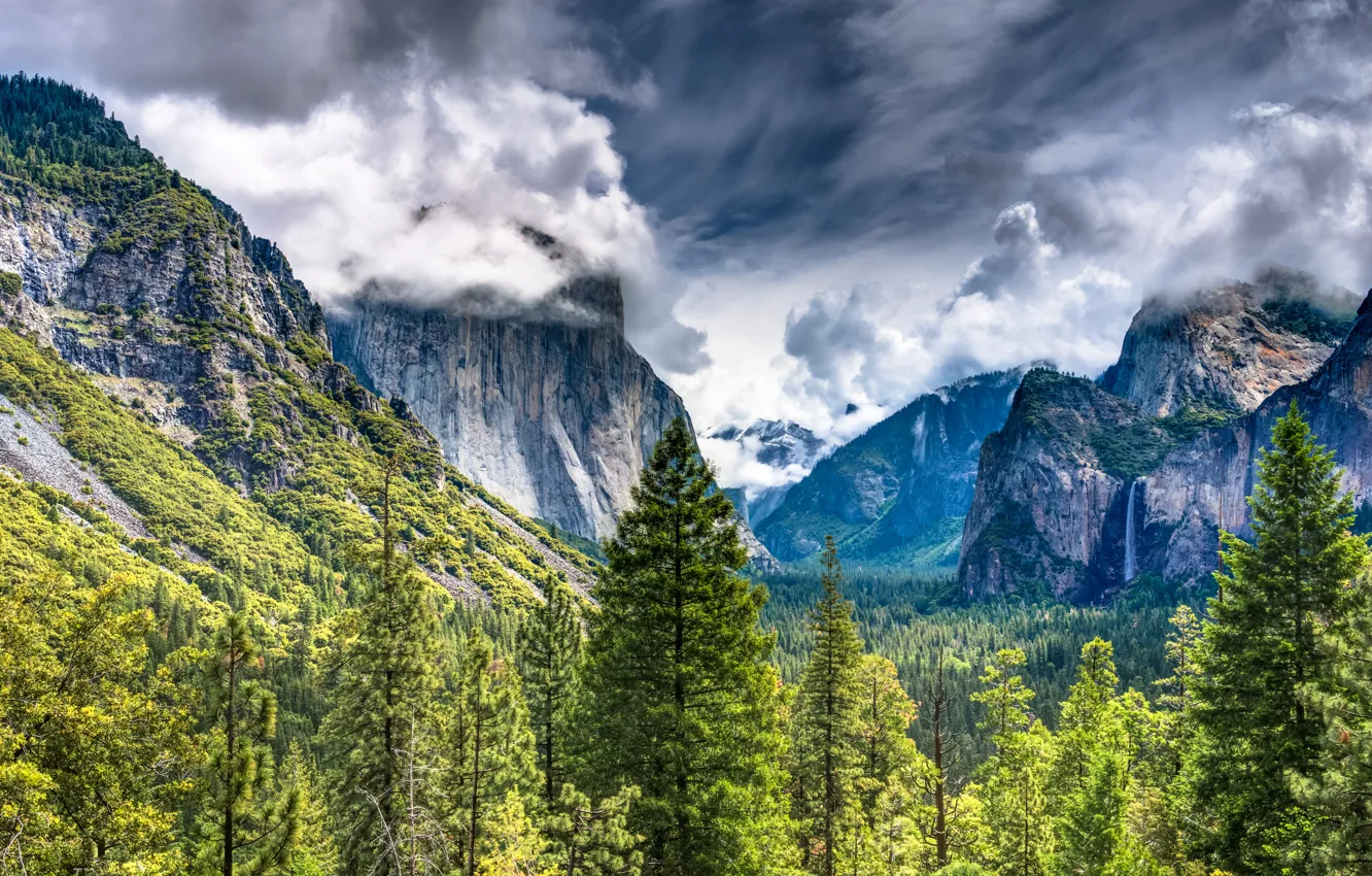 Фото обои Горы, Деревья, Пейзаж, Yosemite National Park