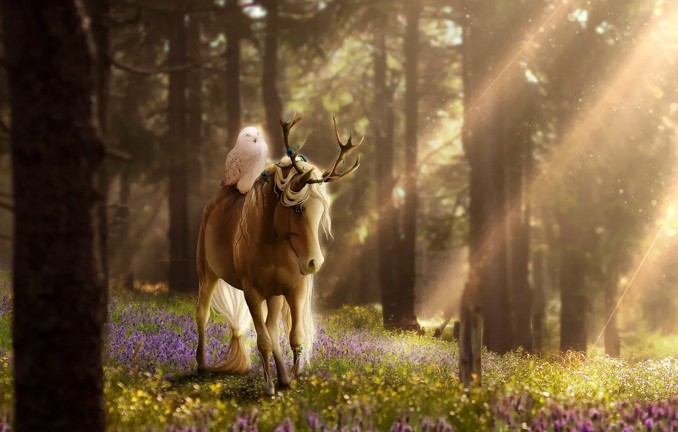 Фото обои лес, цветы, природа, сова, лошадь, фэнтези, by ellipsiem