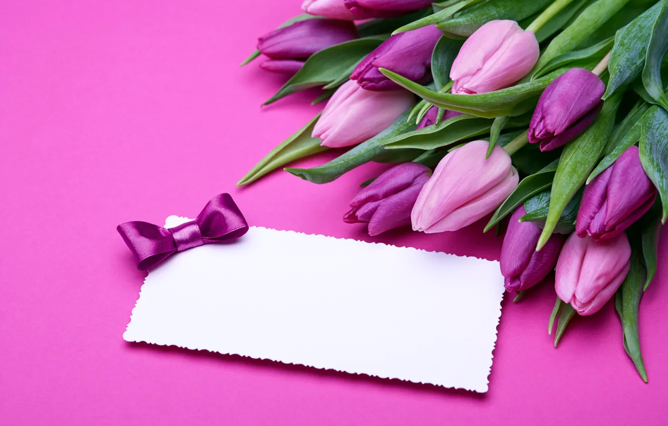Фото обои букет, подарки, тюльпаны, love, розовые, бант, fresh, pink