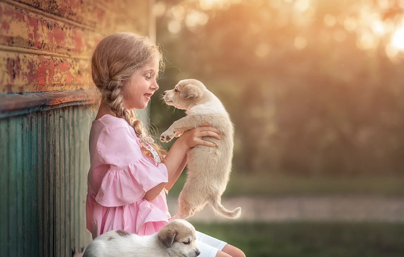 Фото обои радость, щенки, девочка, лавка, ребёнок, щенята, Козел Марта