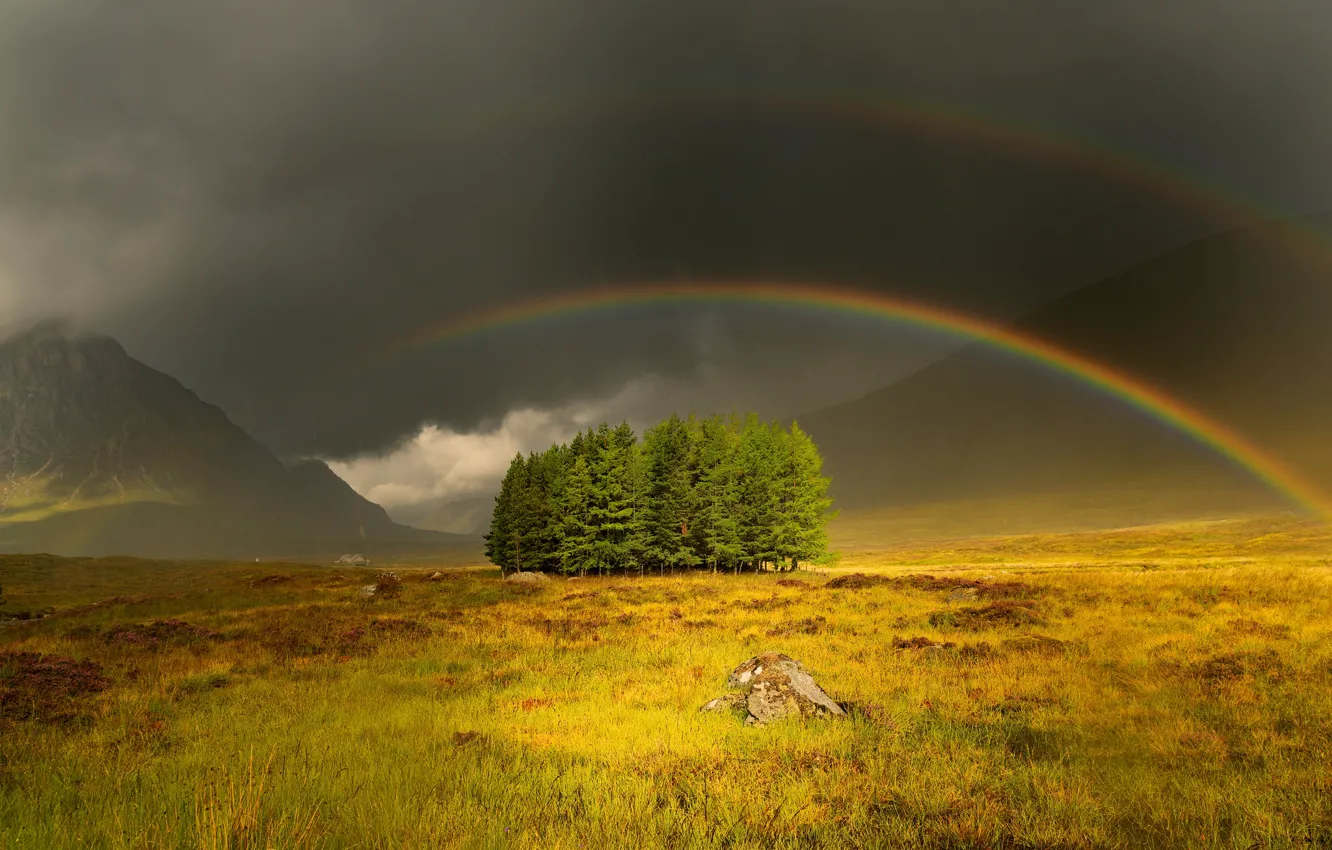 Фото обои поле, деревья, горы, радуга