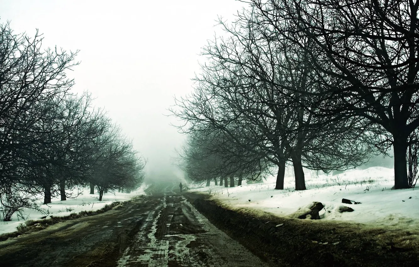 Фото обои зима, дорога, снег, мгла, путник