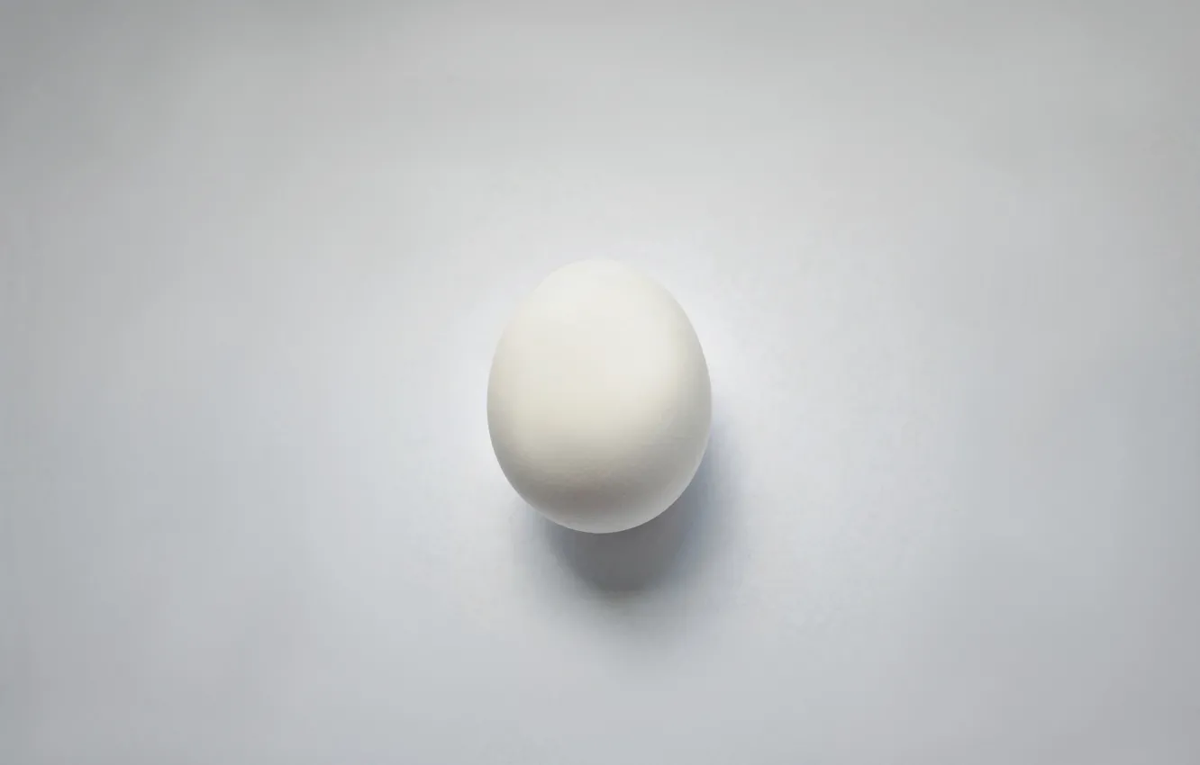 Фото обои макро, фон, Egg