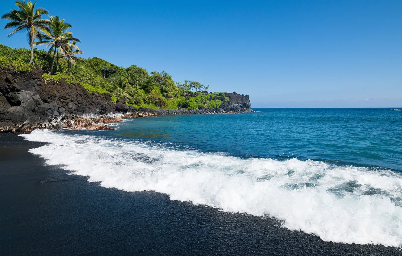 Фото обои песок, море, пляж, пальмы, черный, Гавайи