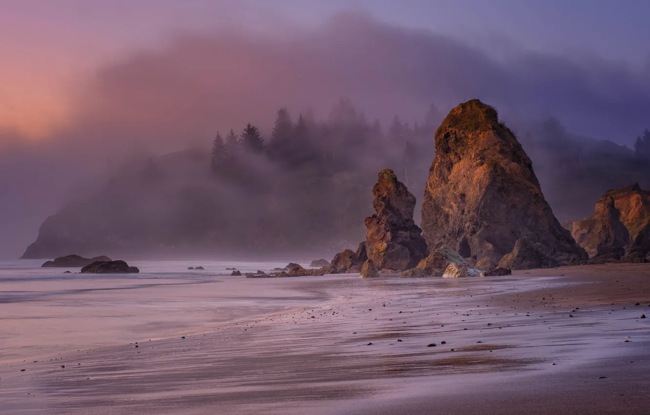 Фото обои песок, море, лес, пляж, туман, камни, скалы, холмы