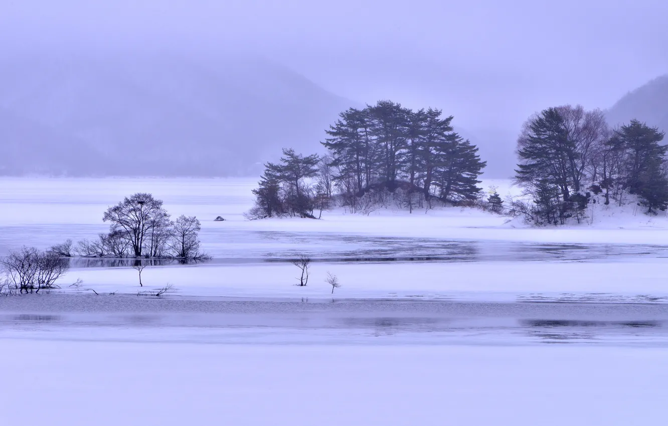 Фото обои лед, зима, снег, деревья, горы, туман, озеро, островки