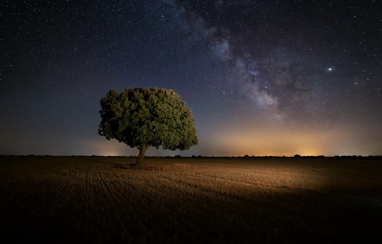 Фото обои поле, ночь, дерево, Испания, звёздное небо