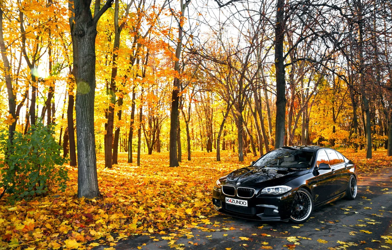 Фото обои листья, Осень, BMW, БМВ, черная, Autumn, F10, 550X