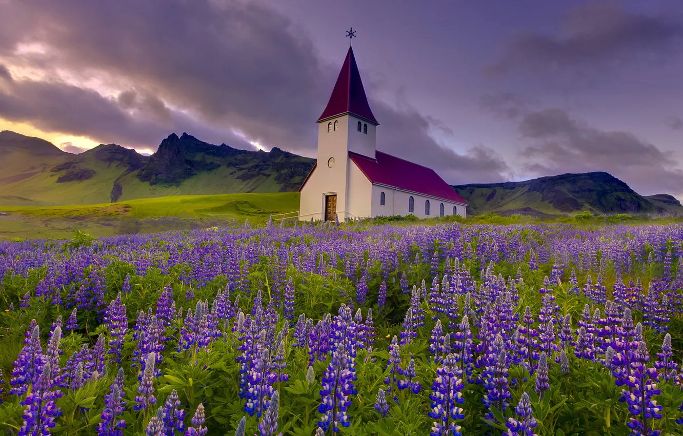 Фото обои цветы, горы, луг, церковь, люпин