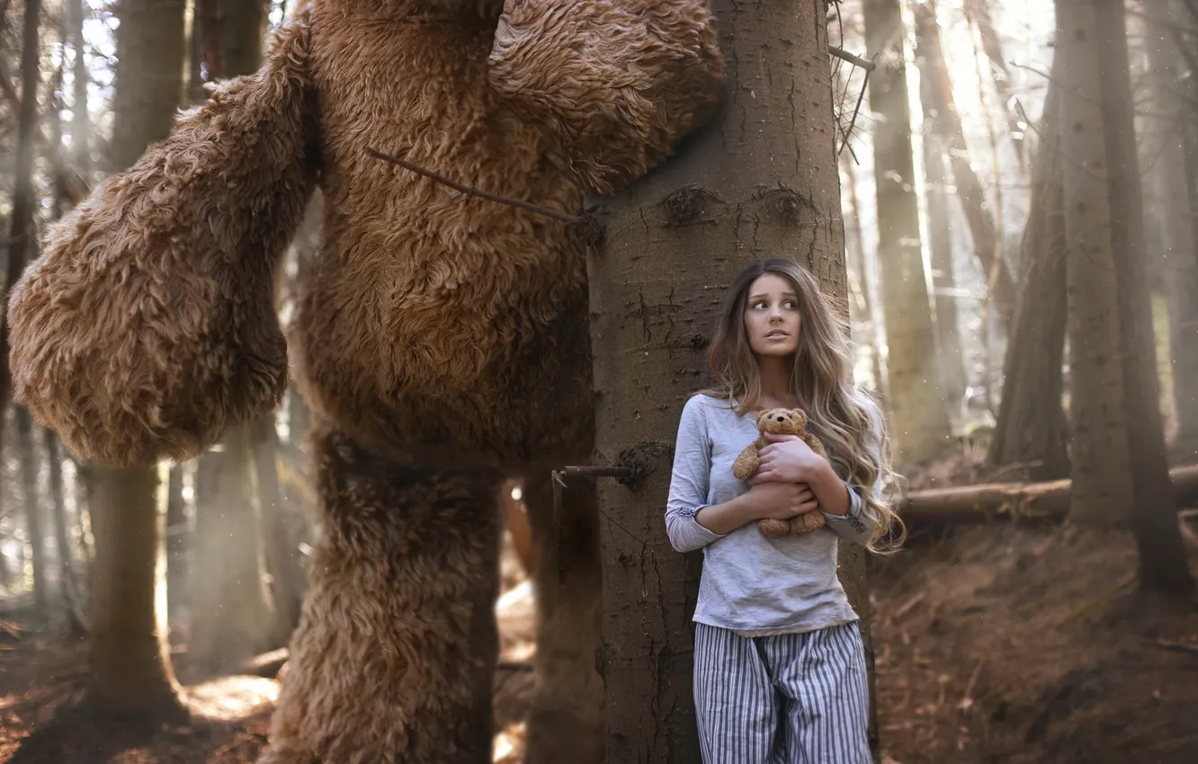 Фото обои лес, девушка, медведи