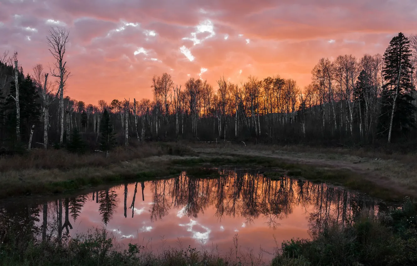 Фото обои пейзаж, ночь, озеро