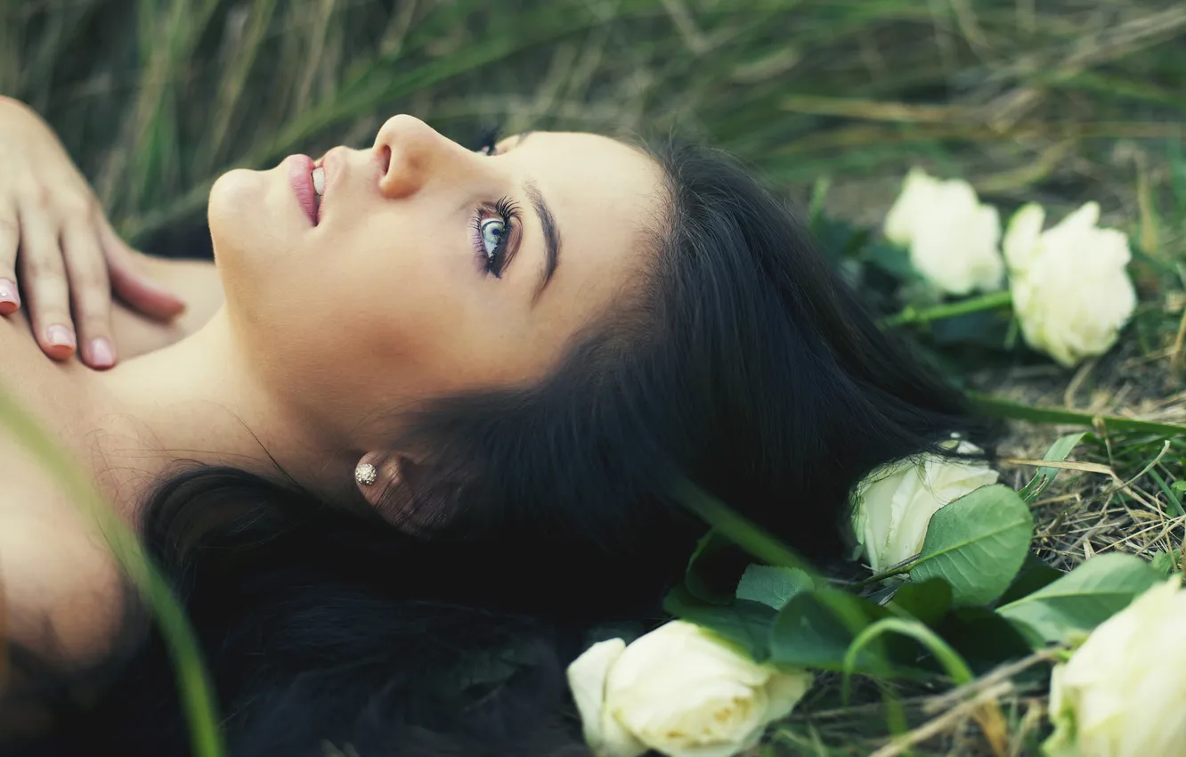 Фото обои взгляд, девушка, цветы, розы, брюнетка