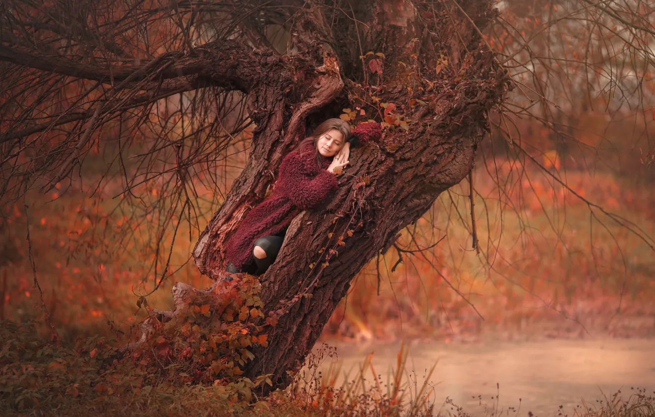 Фото обои осень, девушка, ветки, природа, поза, дерево, отдых, женщина