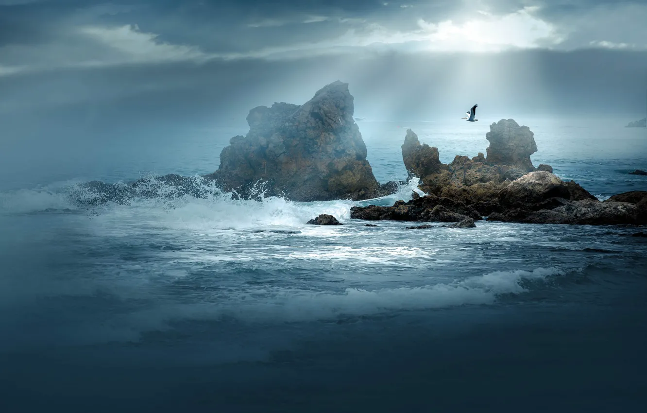 Фото обои море, волны, полет, скалы, птица, пеликан