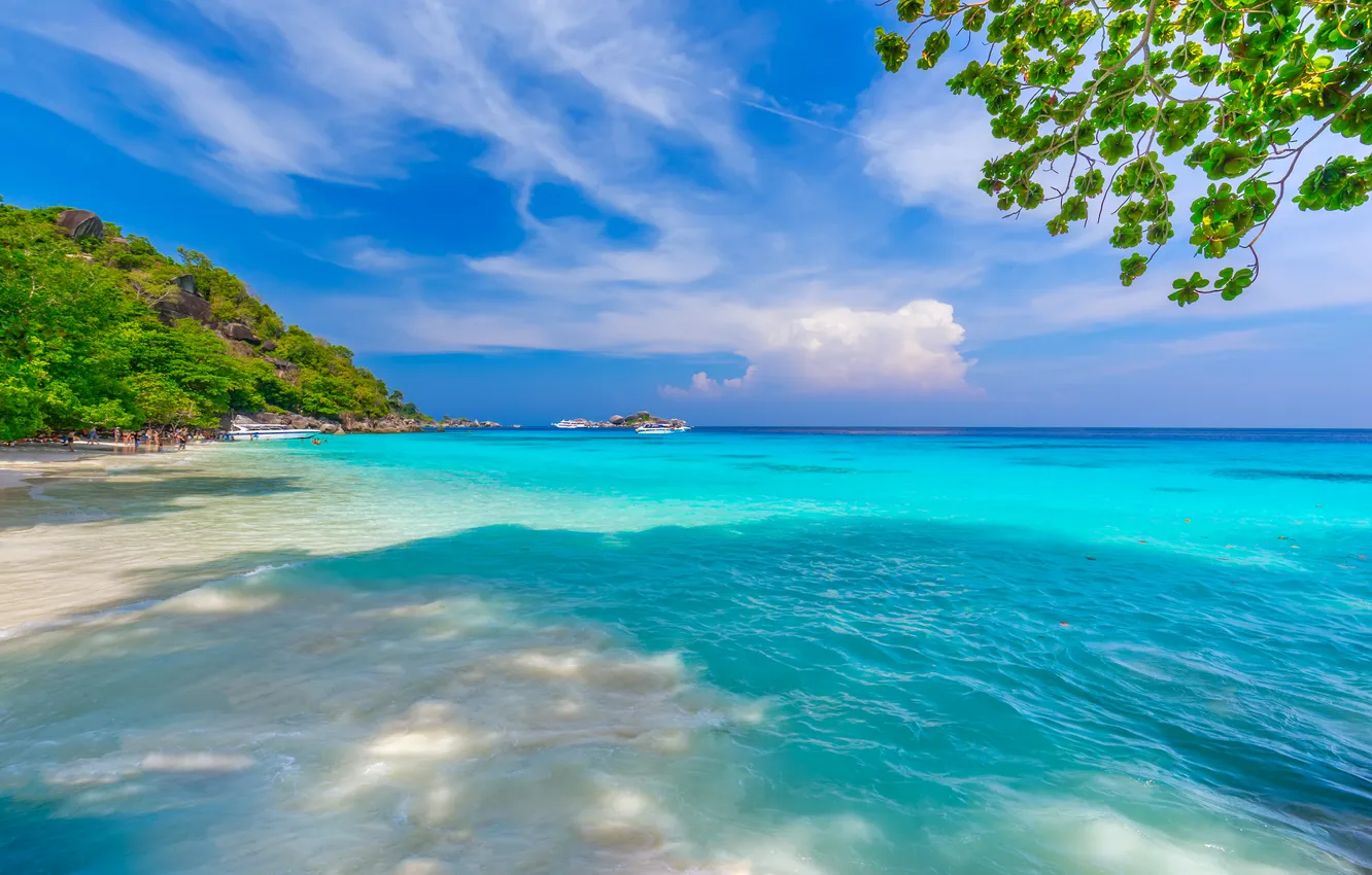 Фото обои песок, море, пляж, лето, небо, пальмы, summer, beach