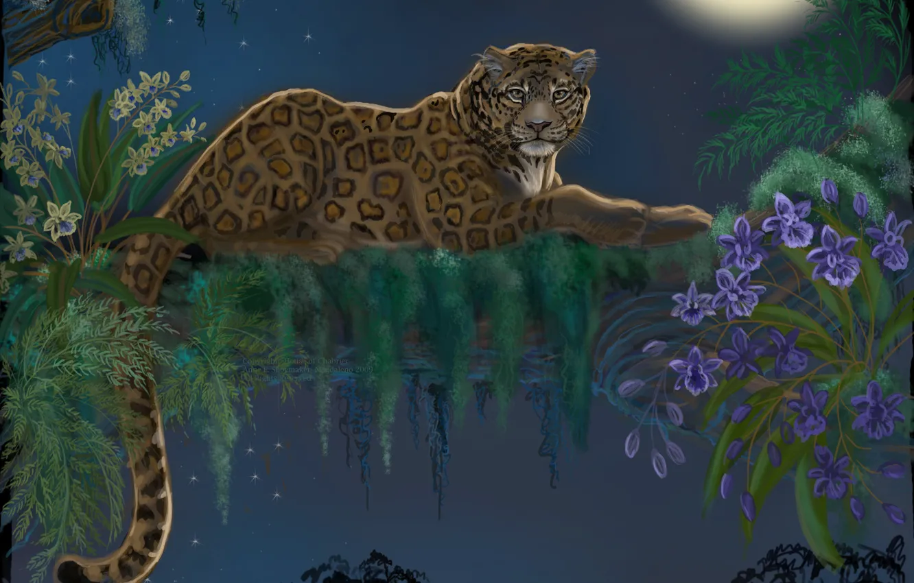 Фото обои взгляд, листья, цветы, ночь, дерево, животное, луна, хищник