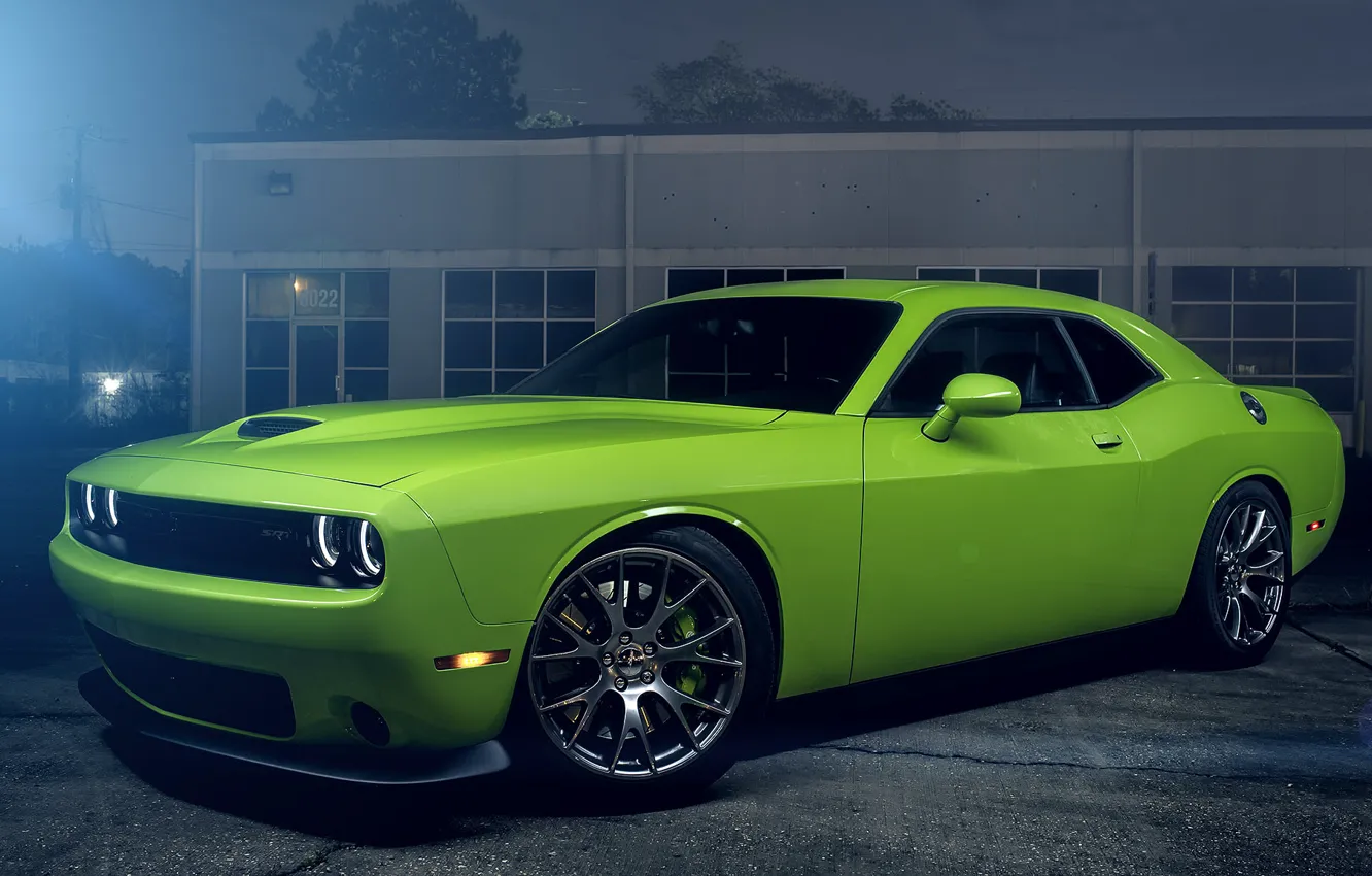Фото обои Muscle, Dodge, Challenger, Hell, Car, Green, Color, Cat