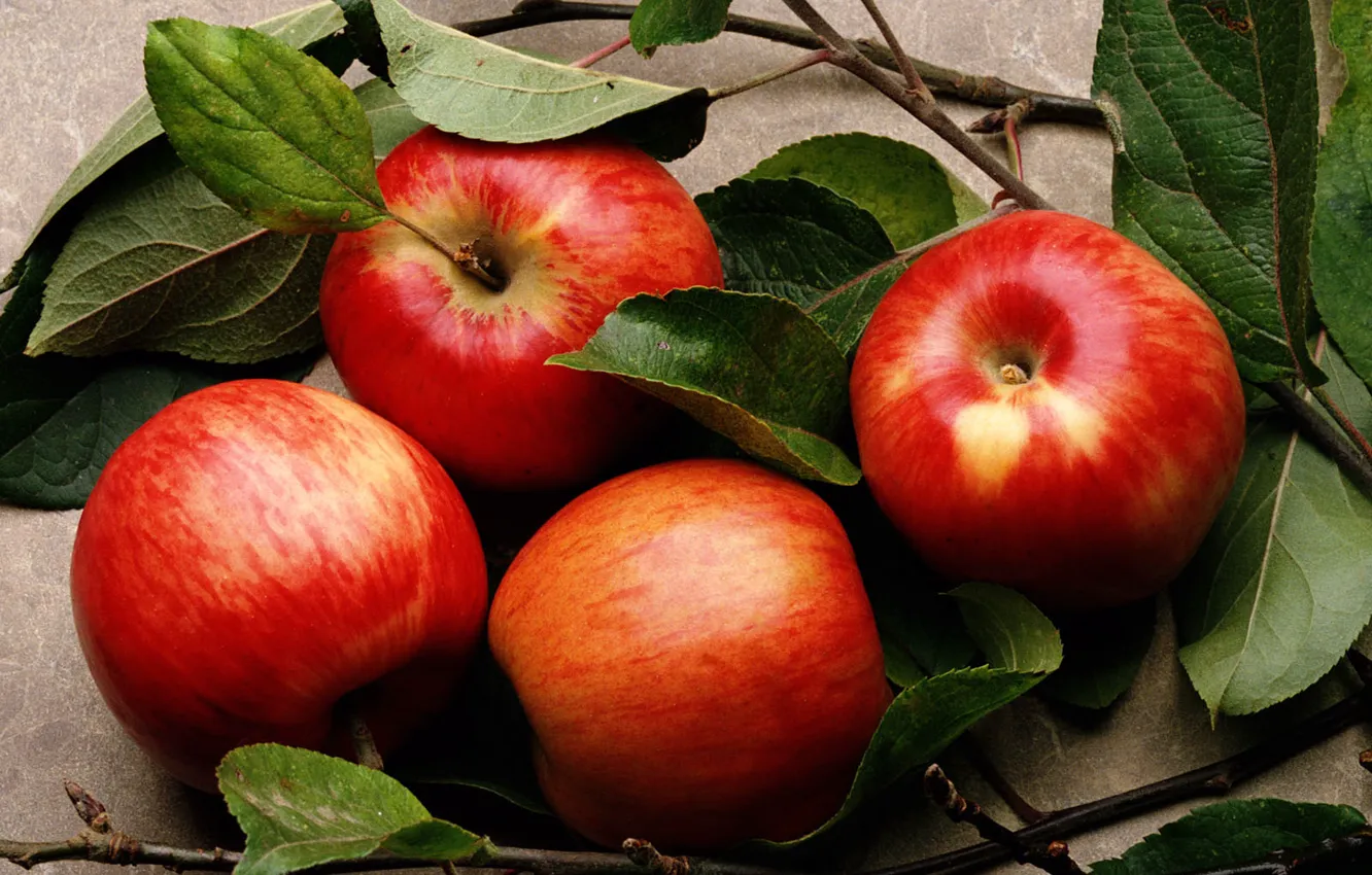 Фото обои листья, яблоки, еда, фрукты