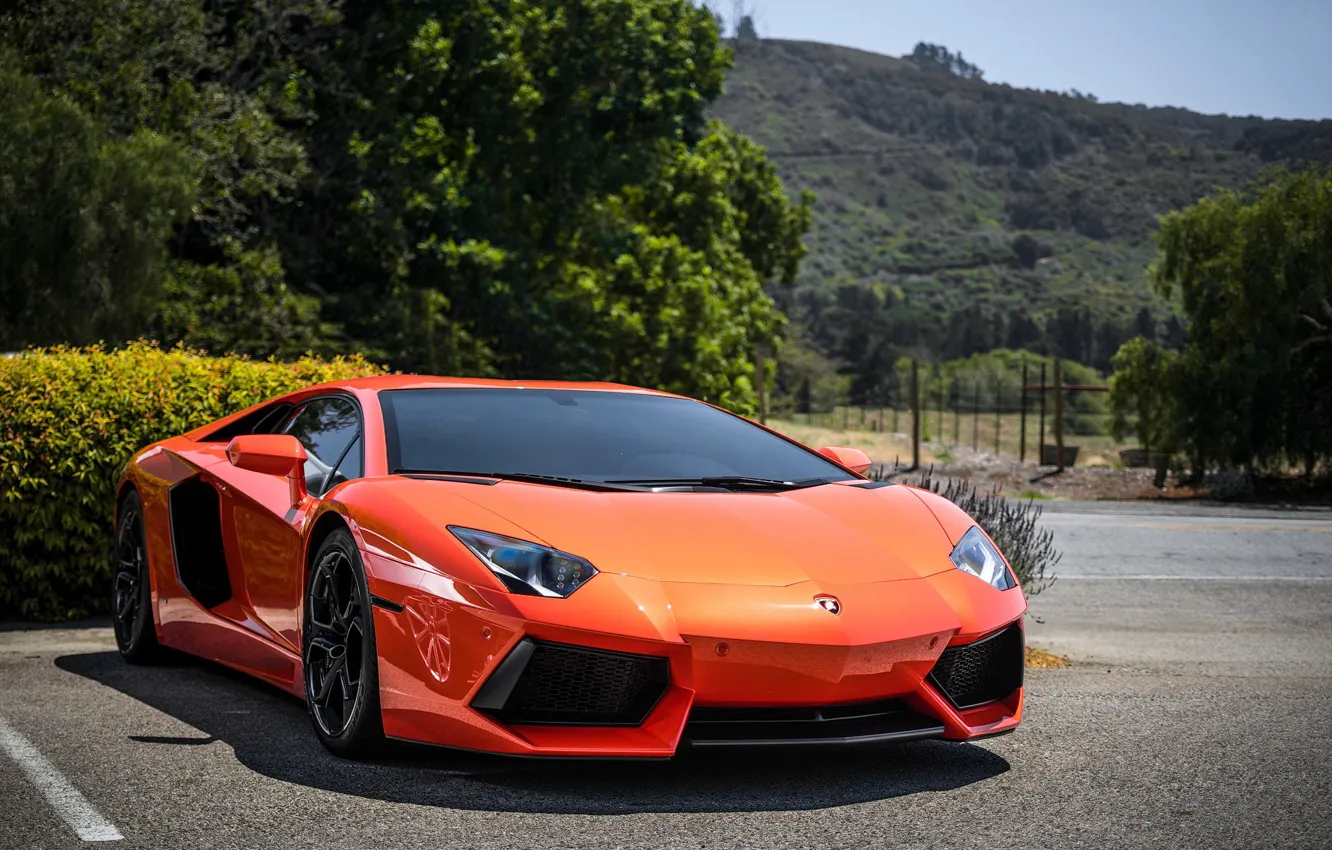 Фото обои lamborghini, hill, orange, aventador