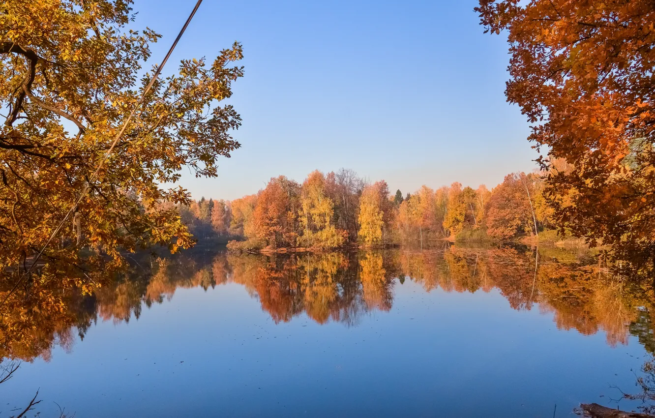 Фото обои Осень, Озеро, Лес, Fall, Autumn, Золотая осень, Colors, Lake