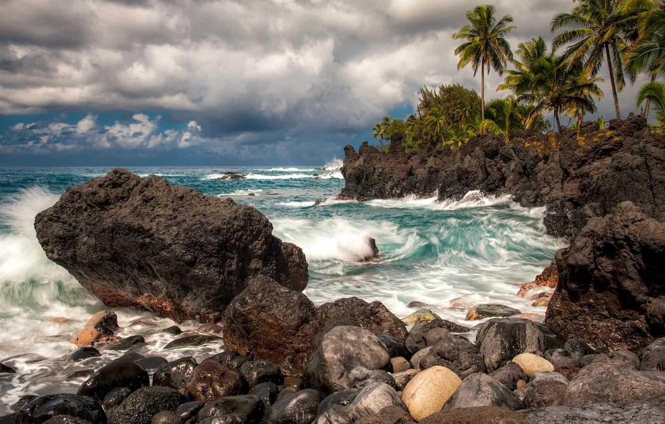 Фото обои тропики, камни, пальмы, скалы, побережье, Гавайи, прибой, Hawaii