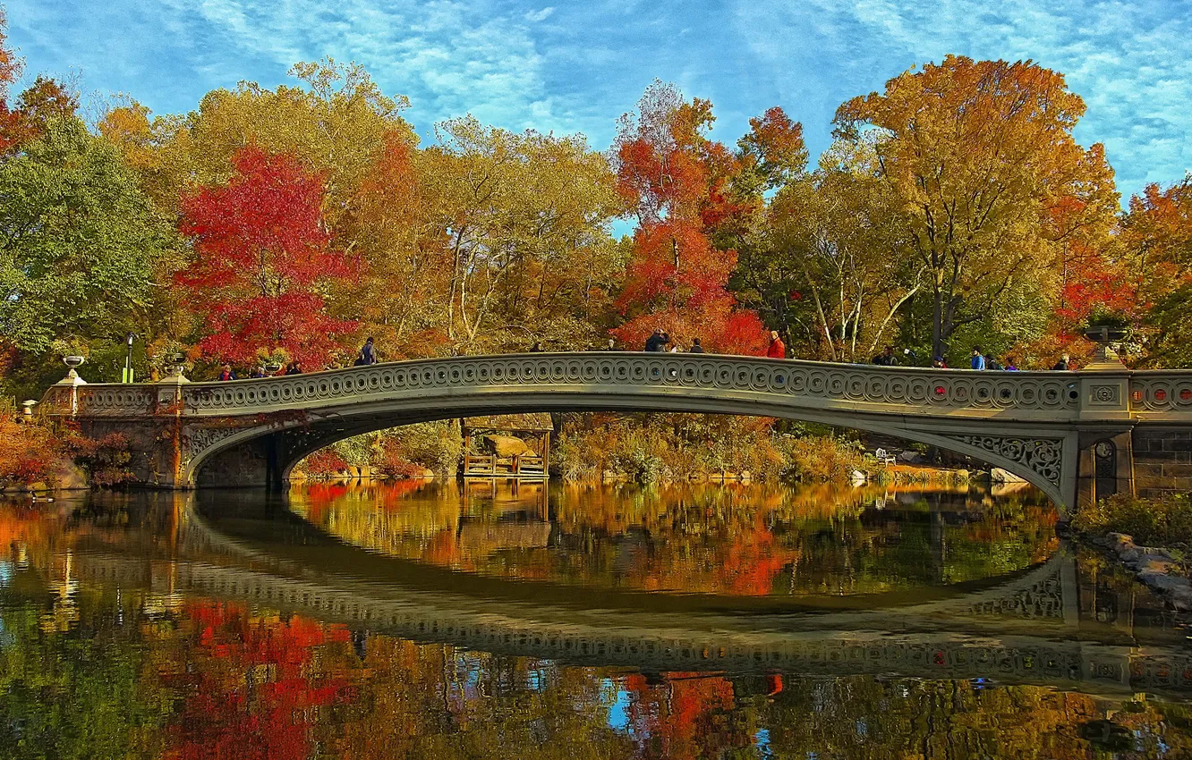Фото обои осень, небо, деревья, пейзаж, мост, Нью-Йорк, США, Центральный парк