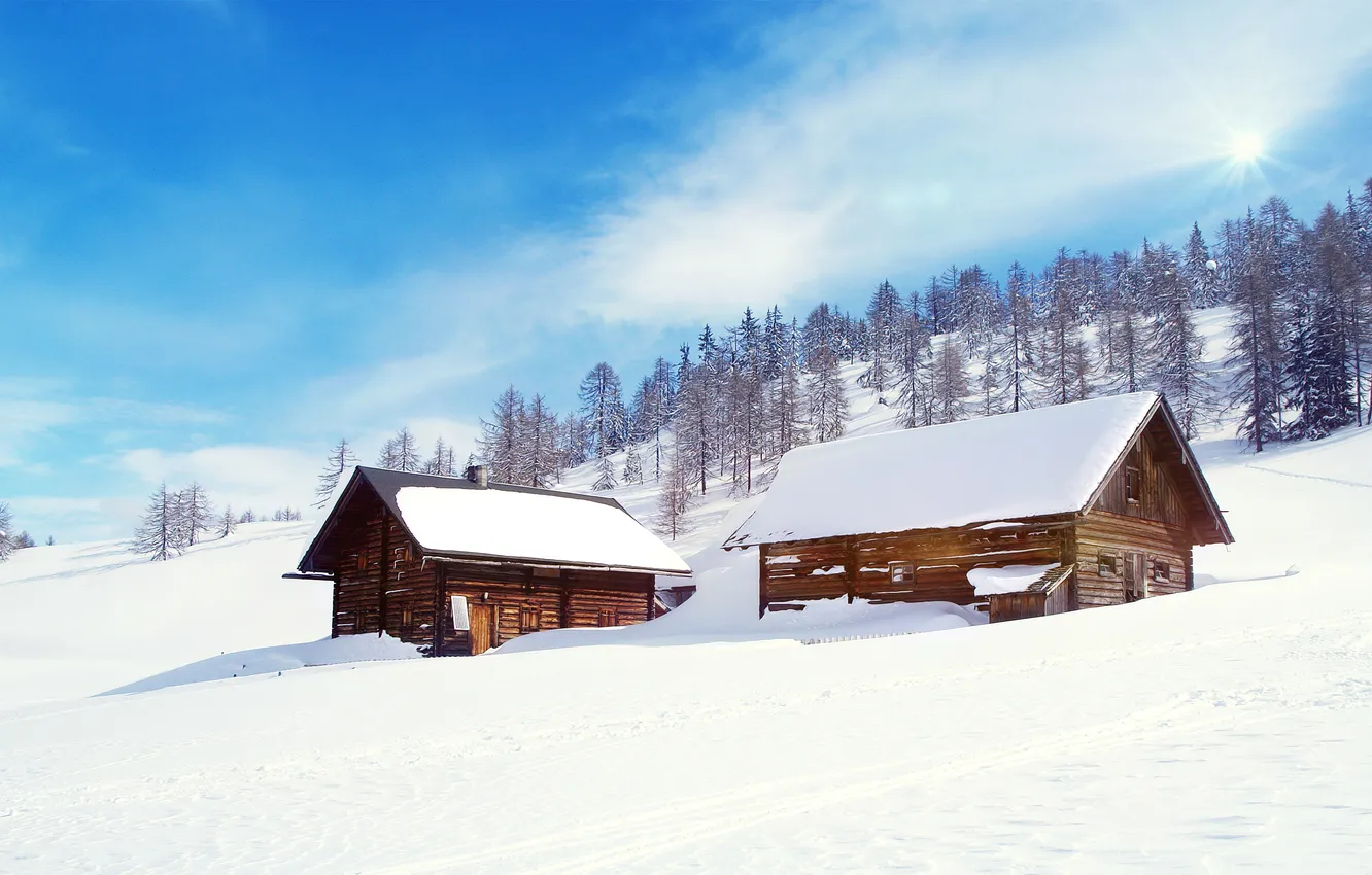Фото обои зима, лес, снег, домики