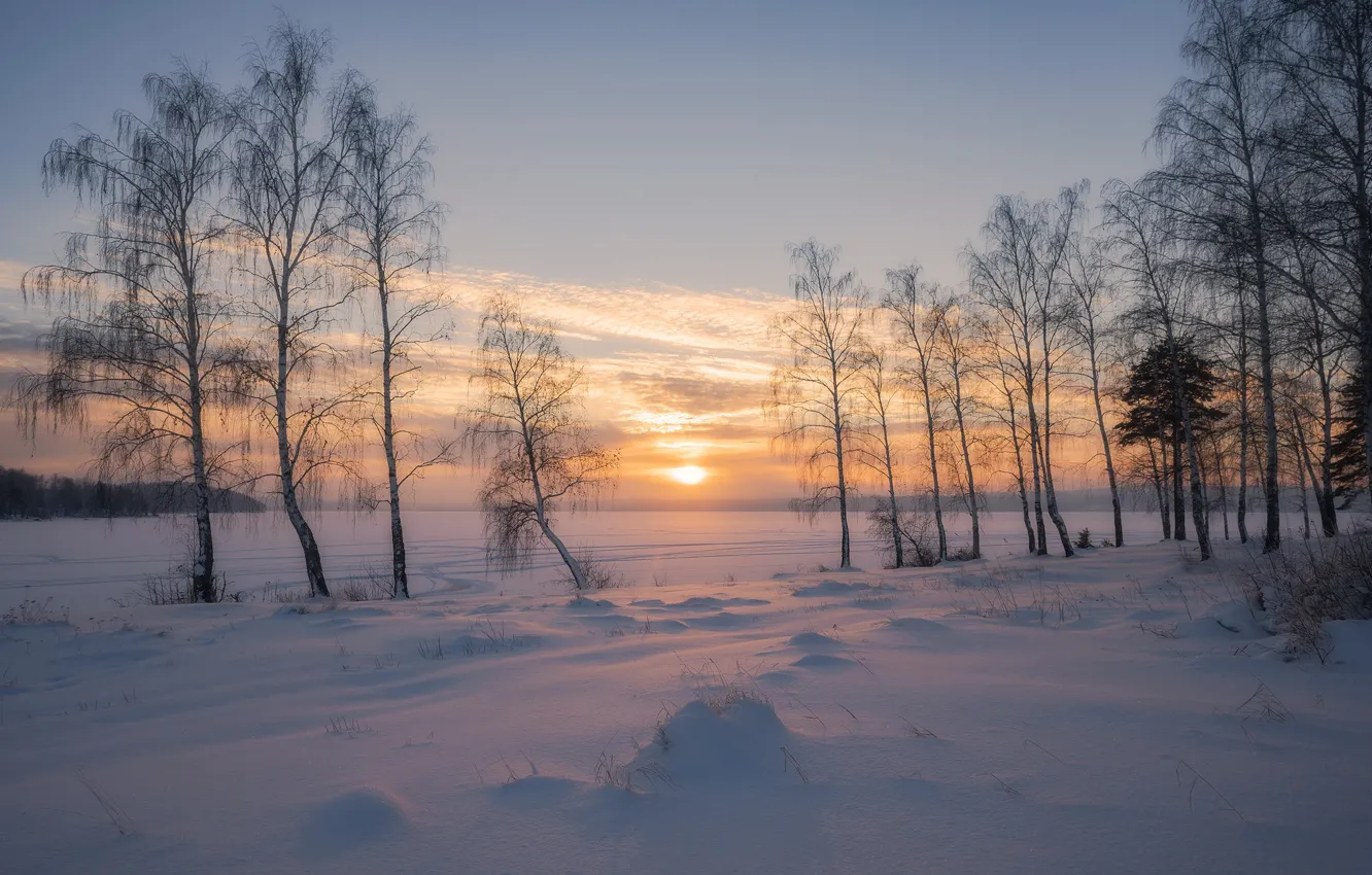 Фото обои зима, снег, деревья, закат, Россия, берёзы, Сергей Межин