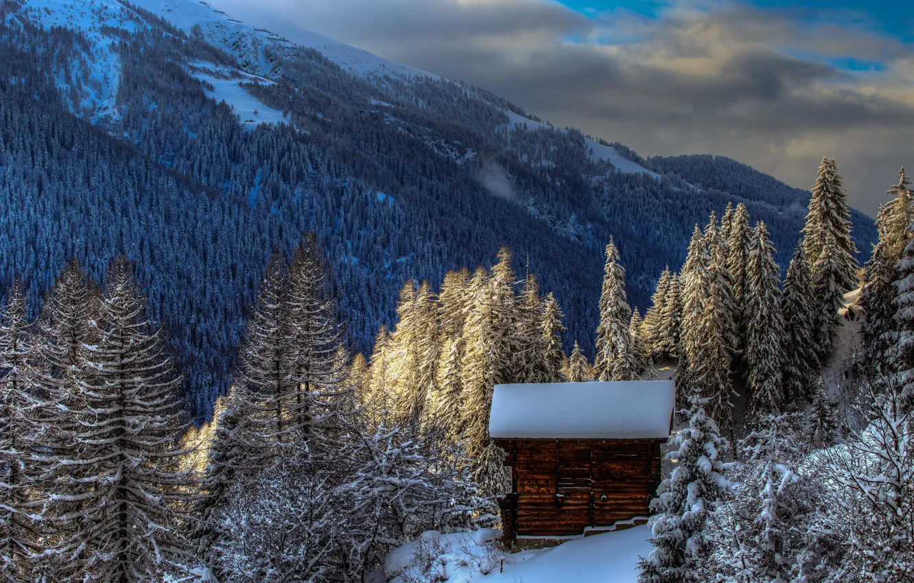 Фото обои зима, лес, облака, снег, деревья, горы, тучи, Швейцария