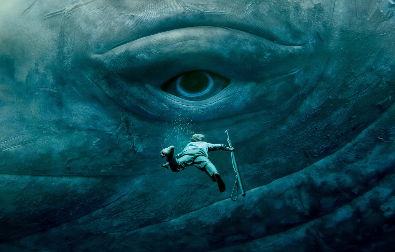 Фото обои море, глаз, человек, ситуация, кит, приключения, под водой, драма