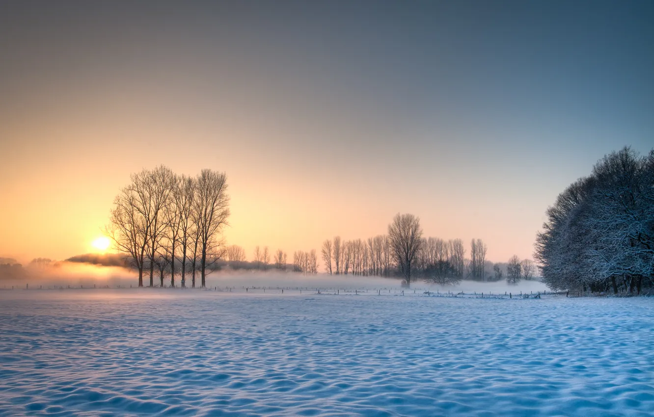 Фото обои зима, поле, небо, солнце, снег, деревья