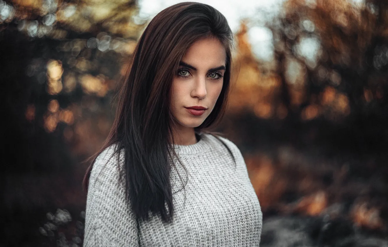 Фото обои портрет, макияж, прическа, шатенка, красотка, кофта, боке, Martin Kühn