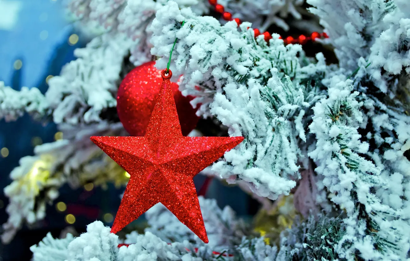 Фото обои зима, снег, ветки, игрушка, звезда, елка, ель, Новый Год