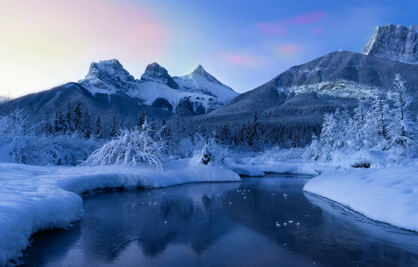 Фото обои зима, снег, деревья, горы, река, Канада, Альберта, Alberta