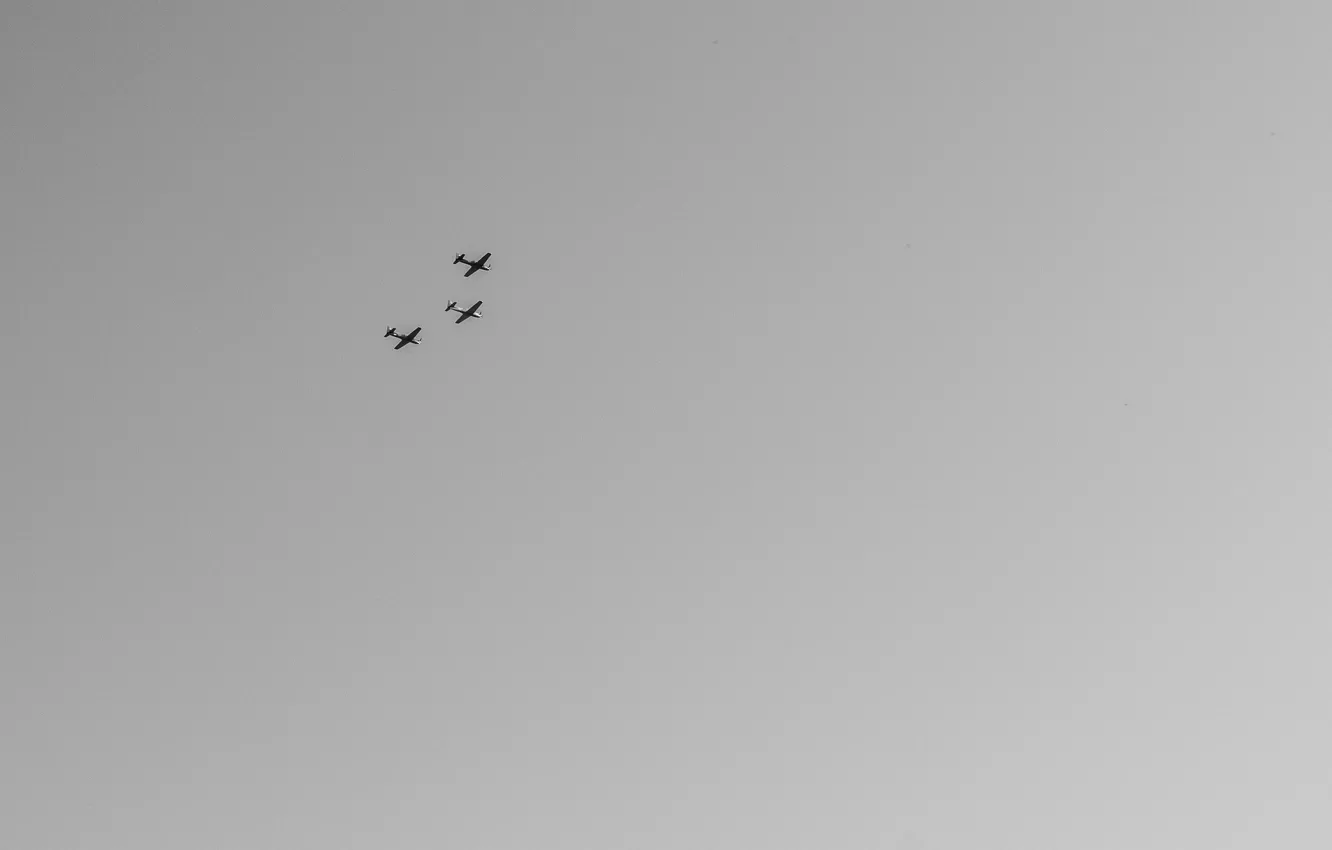 Фото обои sky, flying, planes, flight, airplanes